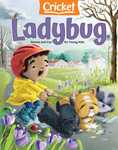 lady bug cover