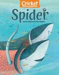 spider cover
