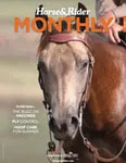 horse and rider cover