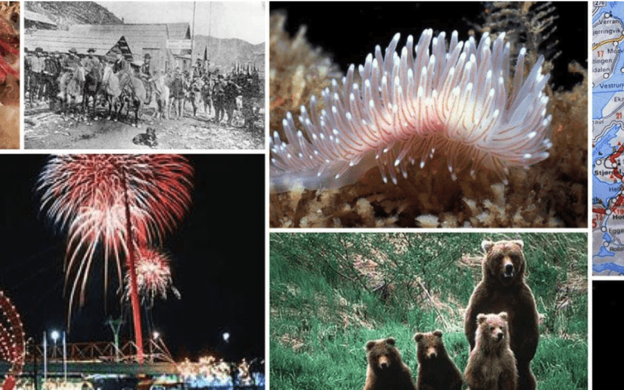 variety of images of bc from throughout history, including bears, map, fireworks