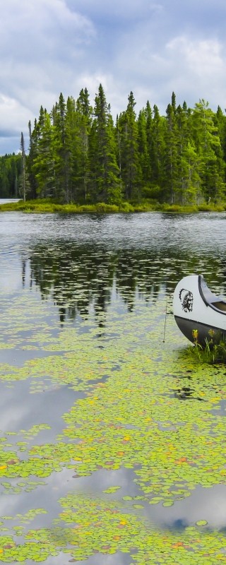 Canoe on a Lake