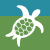 white turtle graphic on a green and blue box
